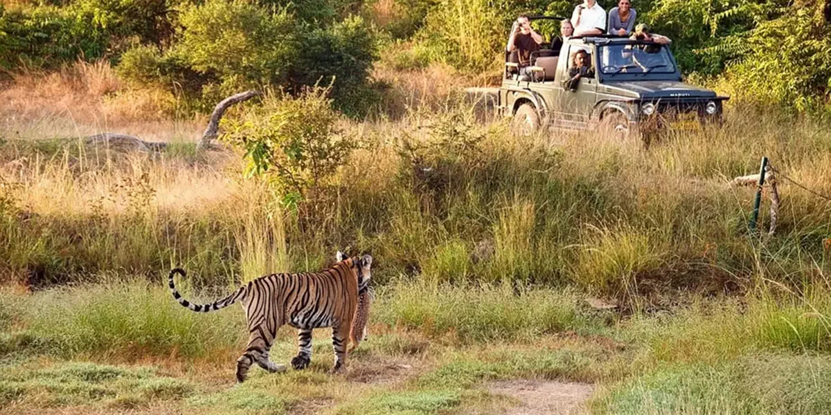 Golden Triangle with Ranthambore Tiger Safari