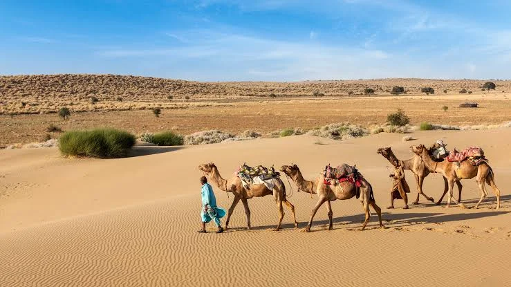 RAJASTHAN DESERT & ROYAL EXPERIENCE
