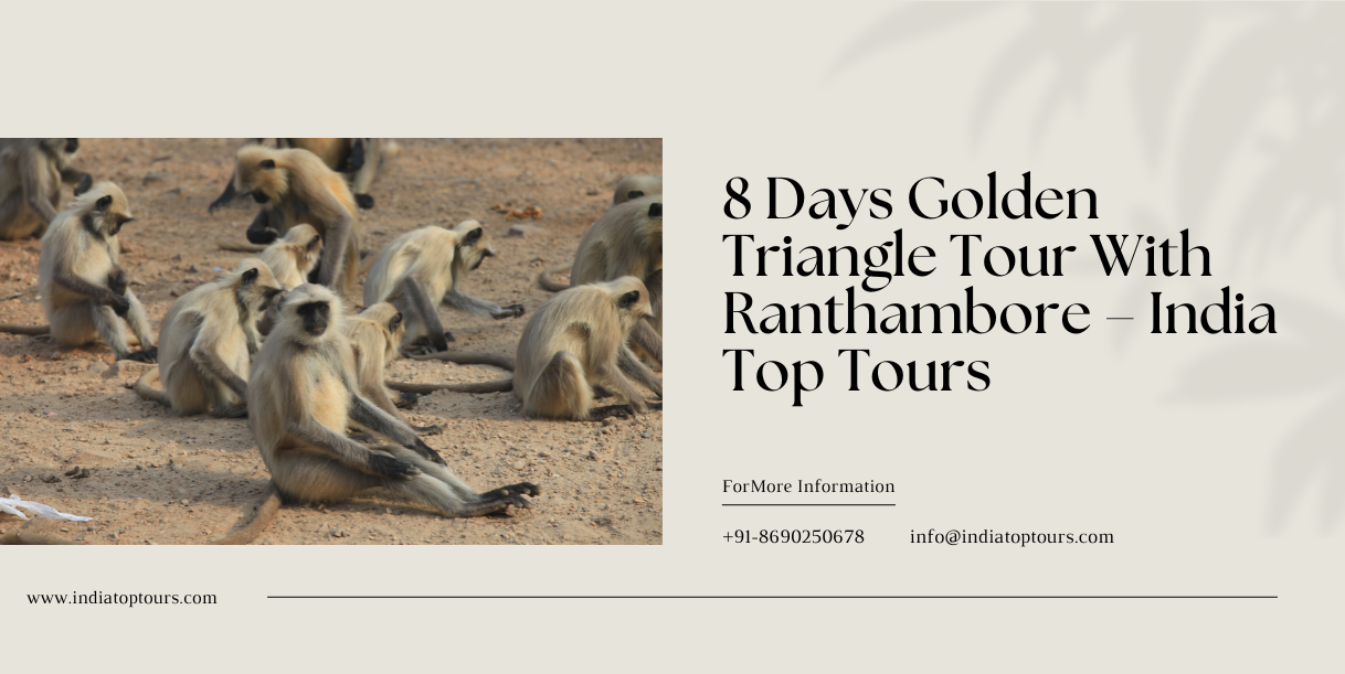 8 Days Golden Triangle Tour With Ranthambore – India Top Tours