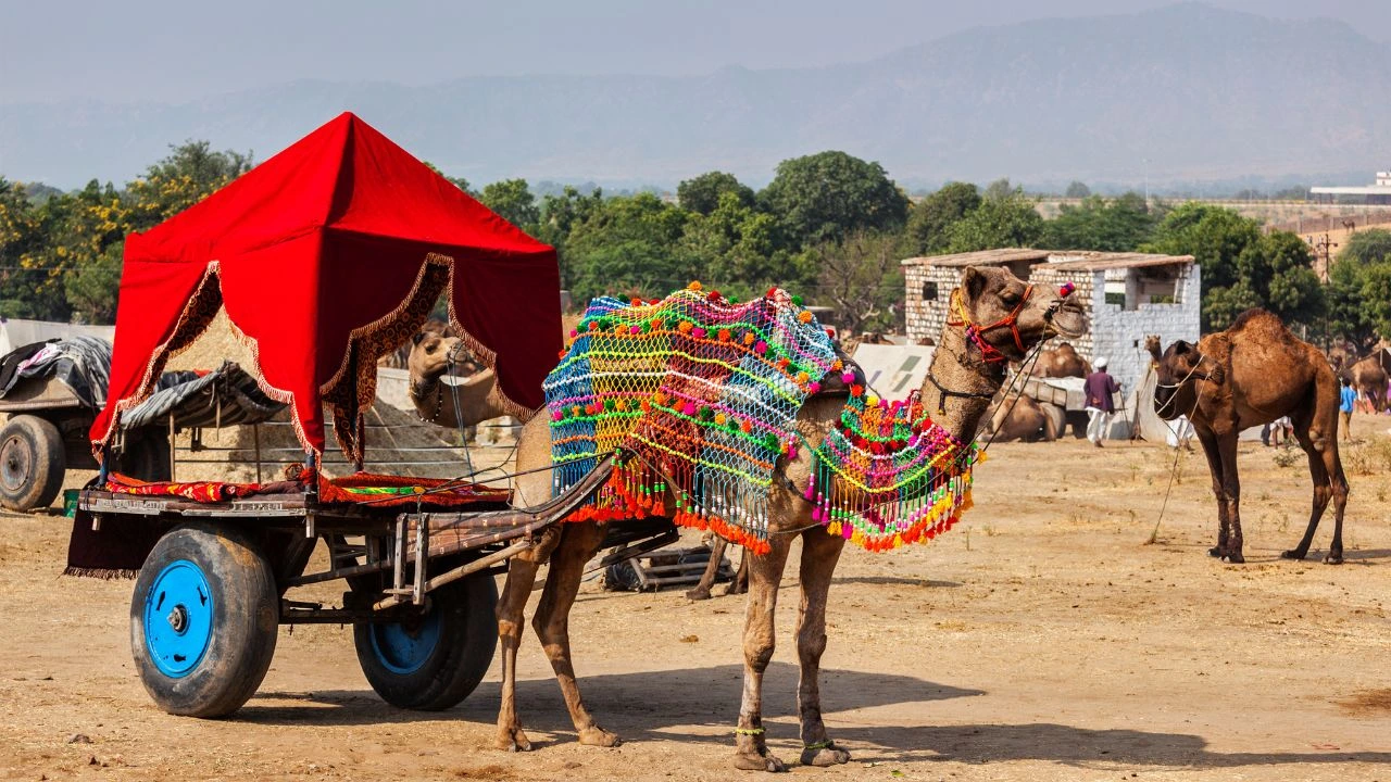 Golden Triangle Tour With Pushkar: India’s Must-Visit Destinations