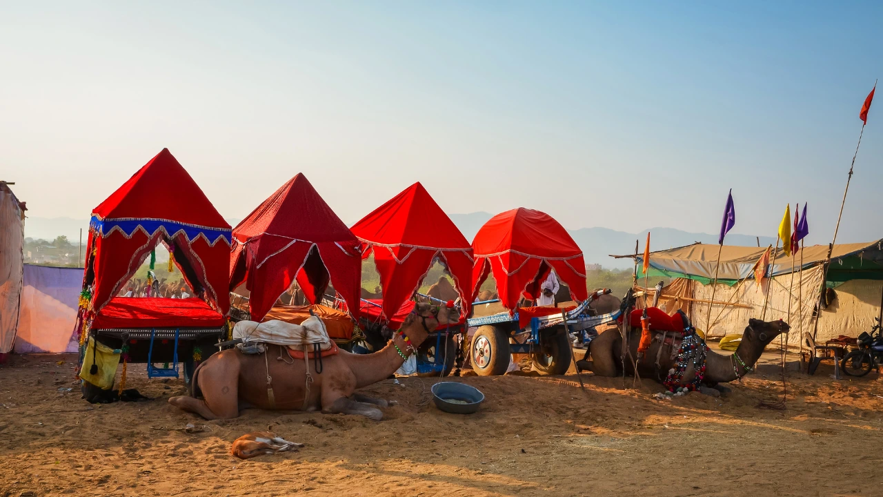 Pushkar Fair: A Must-Visit Event on Your Rajasthan Tour Itinerary